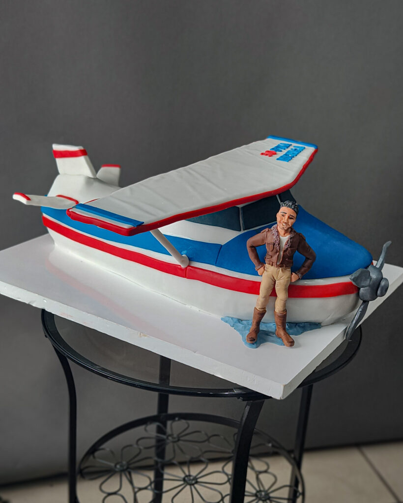 Tort 3D samolot